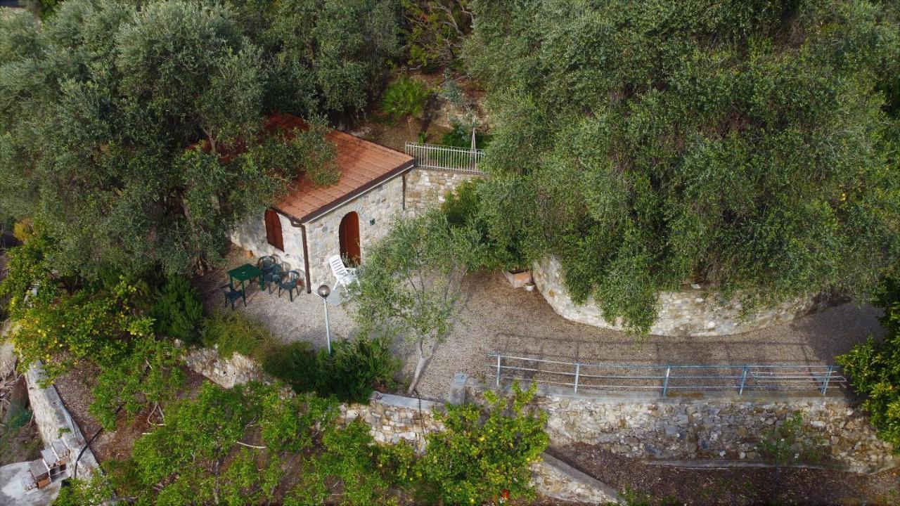 U Ciousu By Ligurian Life Appartamenti In Agriturismo Vallebona Exterior photo